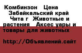 Комбинзон › Цена ­ 350 - Забайкальский край, Чита г. Животные и растения » Аксесcуары и товары для животных   